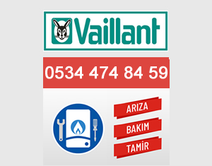 Kayseri Vaillant Kombi Servisi